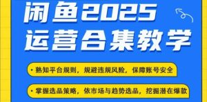 2025闲鱼电商运营全集，2025最新咸鱼玩法-吗喽副业资源站
