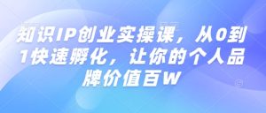 知识IP创业实操课，从0到1快速孵化，让你的个人品牌价值百W-吗喽副业资源站