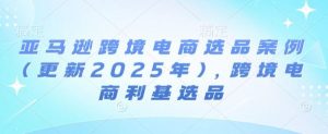亚马逊跨境电商选品案例(更新2025年3月)，跨境电商利基选品-吗喽副业资源站