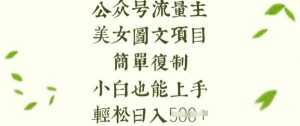 流量主长期收益项目，美女图片简单复制，小白也能上手，轻松日入5张-吗喽副业资源站