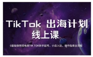 TikTok跨境电商新手起号与运营全攻略，0基础做跨境电商TIKTOK新手起号，小店入驻，操作指南全流程-吗喽副业资源站