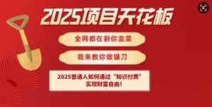 2025项目天花板普通人如何通过知识付费，实现财F自由【揭秘】-吗喽副业资源站