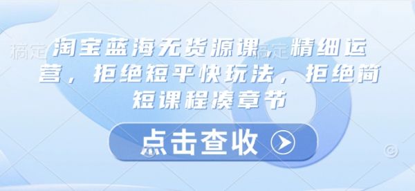 淘宝蓝海无货源课，精细运营，拒绝短平快玩法，拒绝简短课程凑章节-吗喽副业资源站