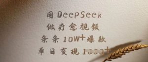 用DeepSeek做疗愈视频，条条10W+爆款，单日变现多张-吗喽副业资源站