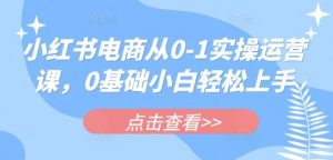 小红书电商从0-1实操运营课，0基础小白轻松上手-吗喽副业资源站