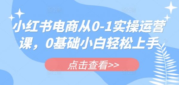 小红书电商从0-1实操运营课，0基础小白轻松上手-吗喽副业资源站