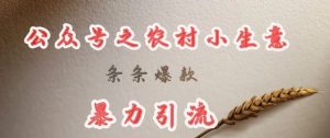 deepseek写农村小项目，条条爆款，暴力引流-吗喽副业资源站