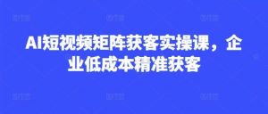 AI短视频矩阵获客实操课，企业低成本精准获客-吗喽副业资源站