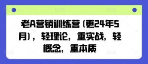 老A营销训练营(更25年3月)，轻理论，重实战，轻概念，重本质-吗喽副业资源站