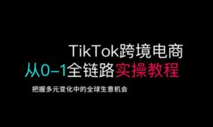 TikTok跨境电商从0-1全链路全方位实操教程，把握多元变化中的全球生意机会-吗喽副业资源站
