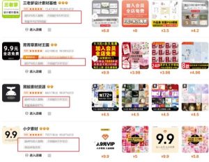 0成本虚拟项目实战手把手教你落地，单店月入5k-吗喽副业资源站